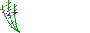 Control Plant